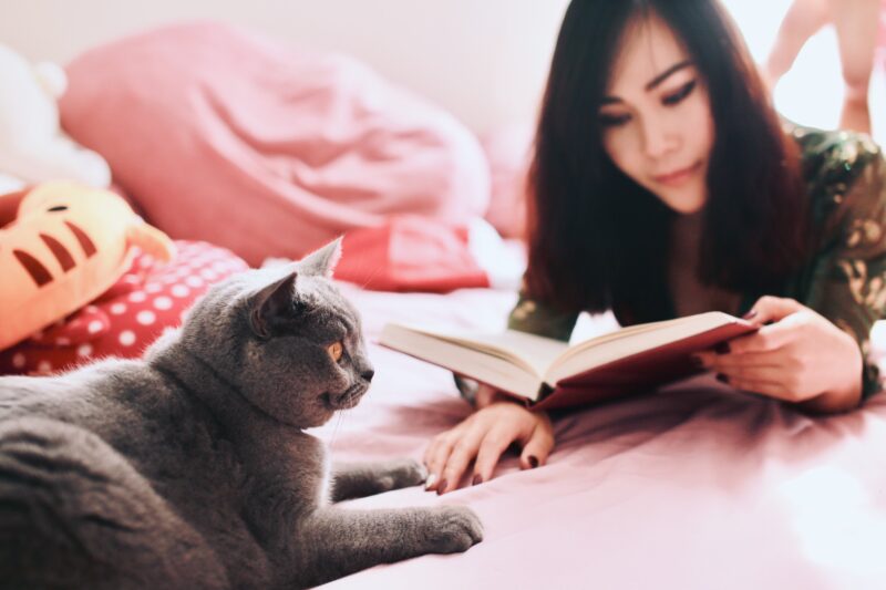 猫　読書